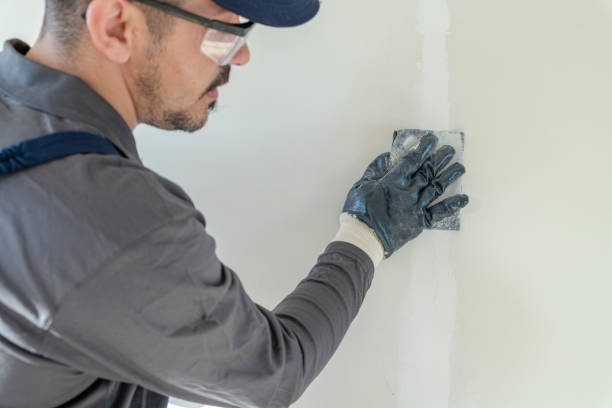 Best Residential Mold Inspection & Testing  in Savannah, TN