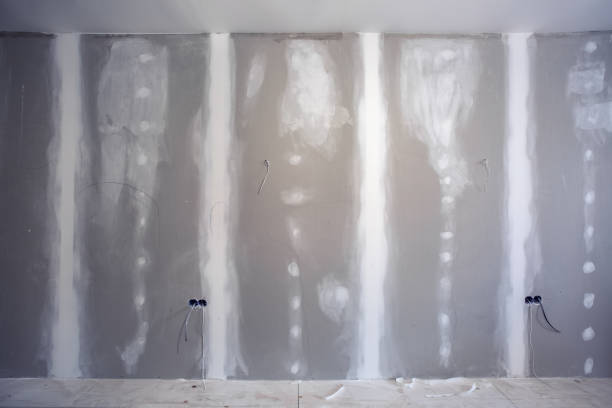 Savannah, TN Mold Removal Company